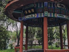 -百脉泉景区