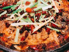 -老板恋上鱼(荣盛广场店)