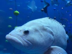 -成都浩海立方海洋公园