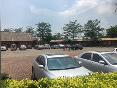 -大湾区中央湿地公园