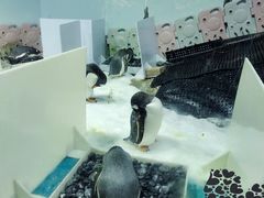 -正佳极地海洋世界