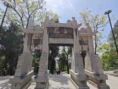 -原山国家森林公园