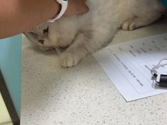 -天宠宠物医院24小时·急重症诊疗中心·全科·腔镜特色(和平分院)