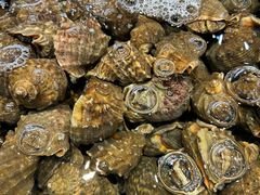 -三亚火车头万人海鲜广场