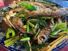 河边小鱼-生态苑农庄(十里画廊遇龙河店)