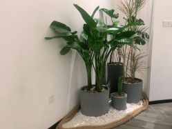 -RnD瑷缇专业美甲美睫