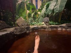 -中家鑫园温泉酒店鑫悦汤泉