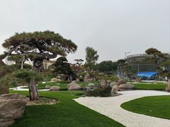 -罗红摄影艺术馆