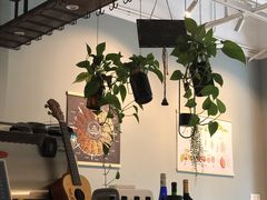 -滇咖啡体验店