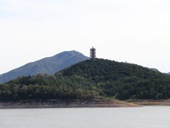 -望湖烤鱼