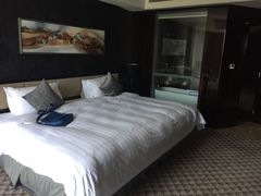 picture-常州环球恐龙城维景国际大酒店