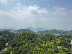 -大金鹰园