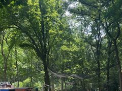 -WeLope紫金山探险公园