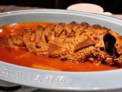 -阿五黄河大鲤鱼(英协路店)