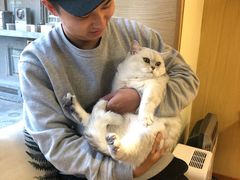 -猫和宫(六道口店)