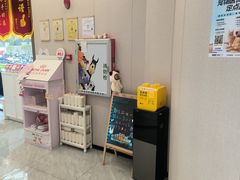 -瑞鹏宠物医院·骨科·猫科·内科(第一中心)