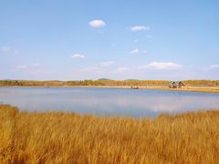 -塞罕坝国家级自然保护区