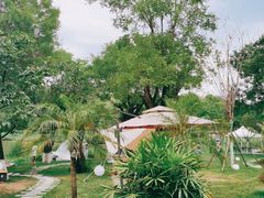 -Supine Bistro溯泮餐厅