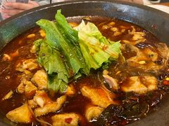 -都江堰石锅鱼