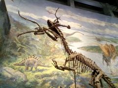 -自贡恐龙博物馆