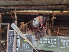-呀路古热带植物园