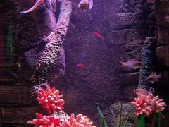 -沈阳海洋探索中心