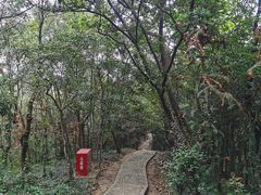 -上海佘山国家森林公园天马山园