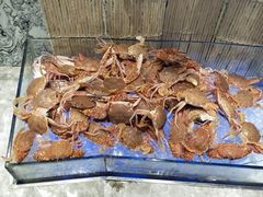 -瑞德姆美人鱼海底演艺主题餐厅(亚龙湾店)