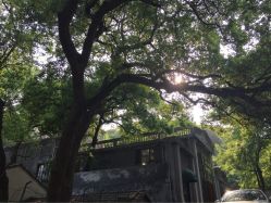 韩国迪娜DINA&nbsp;STUDIO(杭州店)-唯一旅拍·颂当代影像艺术中心(上城店)