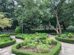 -中山公园