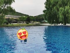 -上海佘山世茂艾美酒店