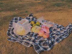 -艾溪湖湿地公园