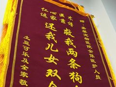 -嘉馨宠物医院·CT影像转诊·心脏科·犬猫全科诊疗中心(下沙大学城院区)