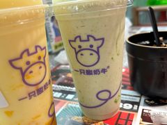-一只酸奶牛(兰州中心店)
