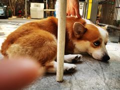 -小梁哥云吞面(黄贝岭店)