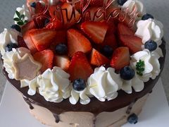 -维尔纳斯·生日蛋糕·动物奶油冰淇淋蛋糕(六里桥店)