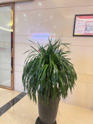 -天邑国际酒店·宴会厅