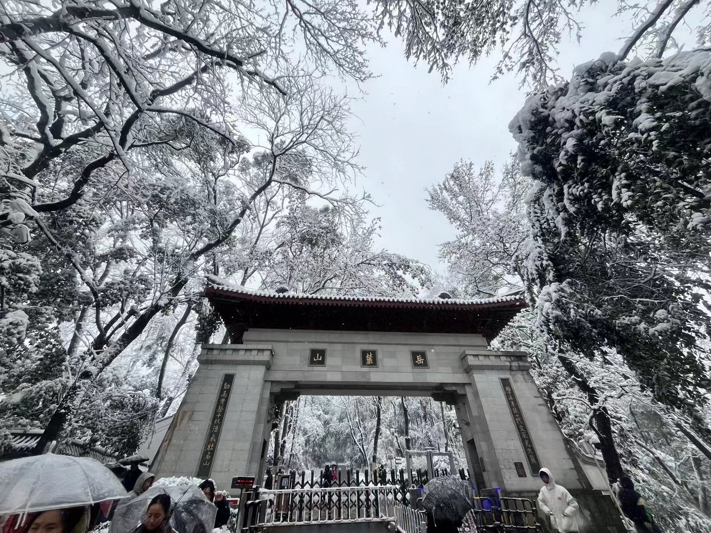 岳麓山雪景图片