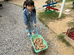 -HERRE·FARM 赫尔露营农场·团建聚会包场