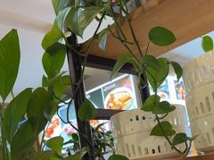 -大清花饺子(山庄店)