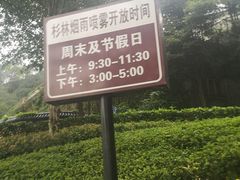 -重庆彩云湖湿地公园