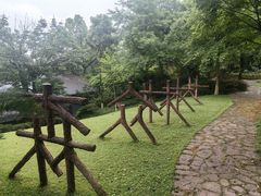 -南山植物园