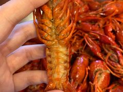 -锅圈食汇火锅烧烤食材超市(回龙观店)