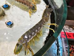 -强记海鲜·大排档(蛇口新街店)