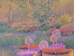 -上海共青森林公园