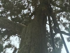 -龙王庙行宫