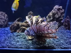 -海合安天津极地海洋公园
