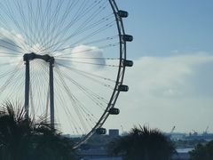 -新加坡文华东方酒店