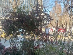 -食悦江南·淮扬菜·烤鸭(亚运村·惠新店)