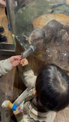 点击看大图 -Zoolung Zoolung动物主题公园(海信广场店)